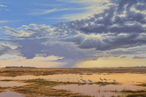 Sunset Everglades